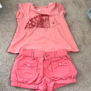 Gap shorts
